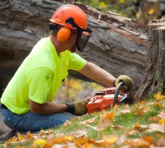 tree services Buchanan